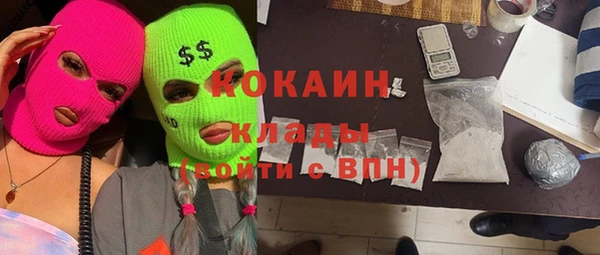 крисы Белокуриха